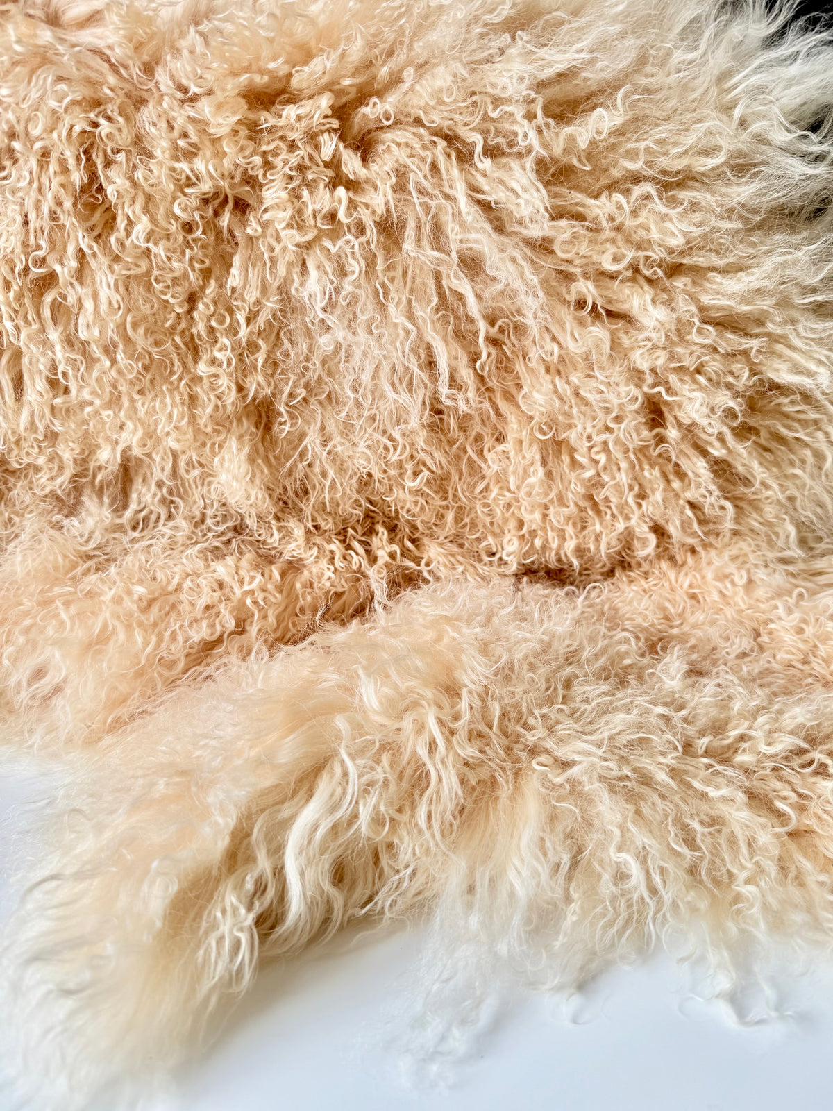 Crème Caramel Mongolian fur single throw, close up