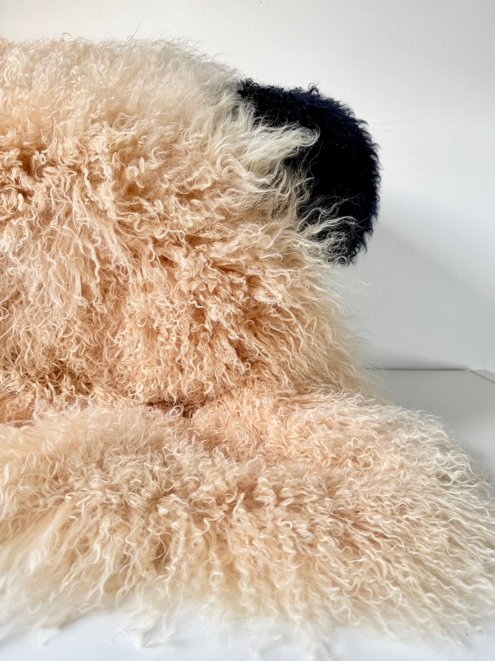 Crème Caramel Mongolian fur single throw draped over a bench