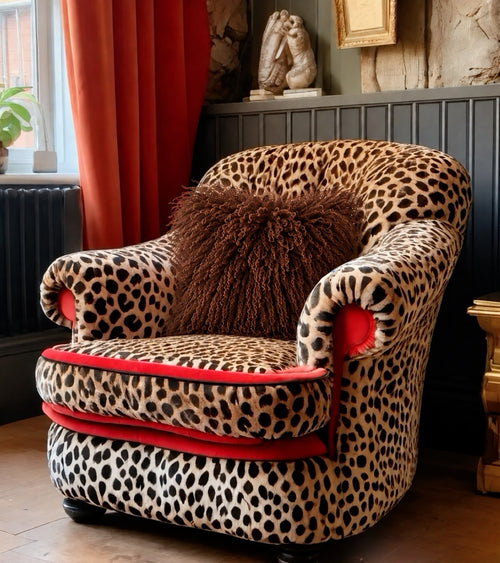 Brown Mongolian fur cushion, 45cm, on a leopard print armchair with red velvet trim - handmade chocolate brown curly fur cushion [main] [shade: Brown]