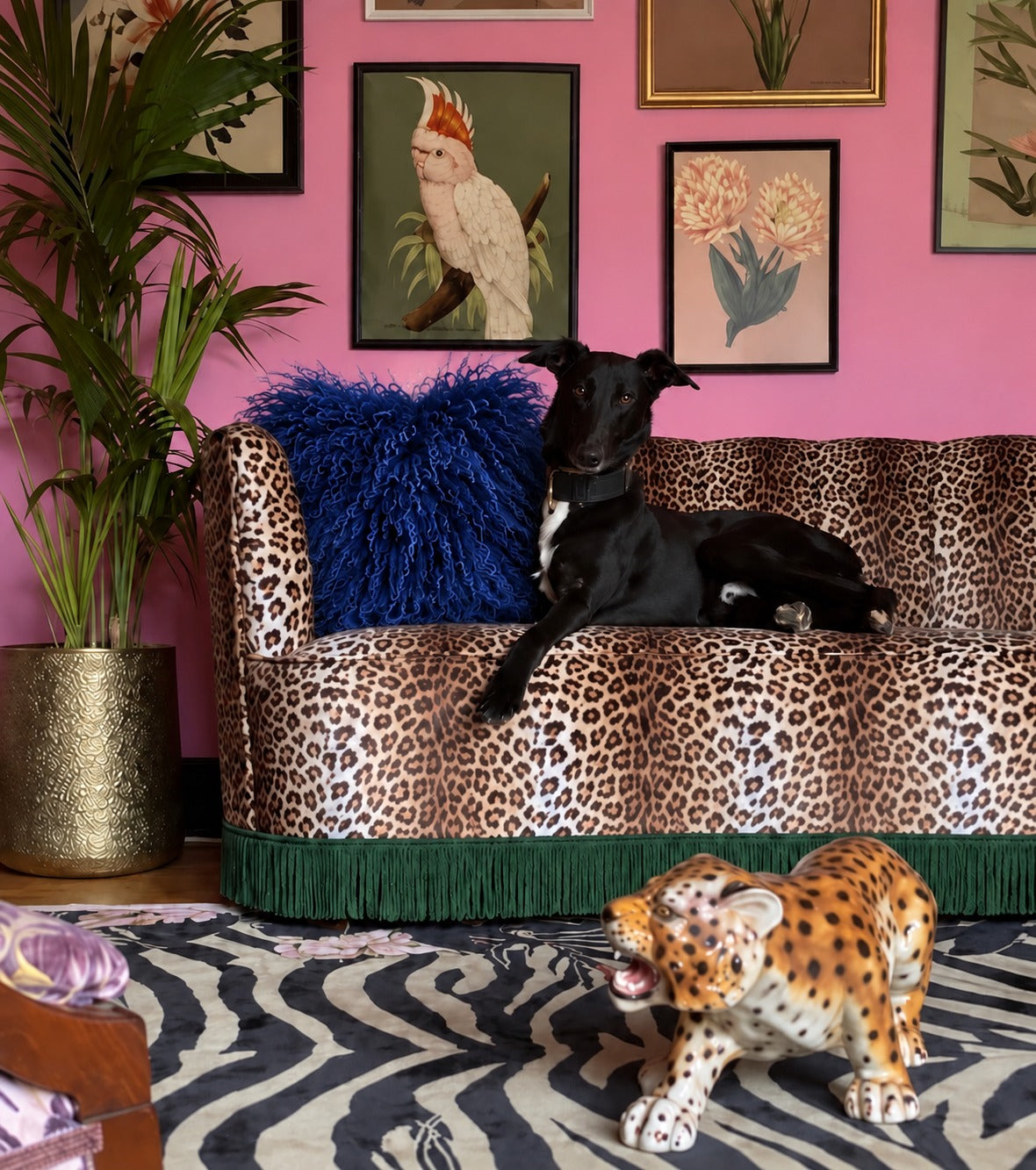 Cobalt blue Mongolian fur cushion, 45cm, on a leopard print velvet sofa against a pink wall - handmade fluffy blue statement cushion