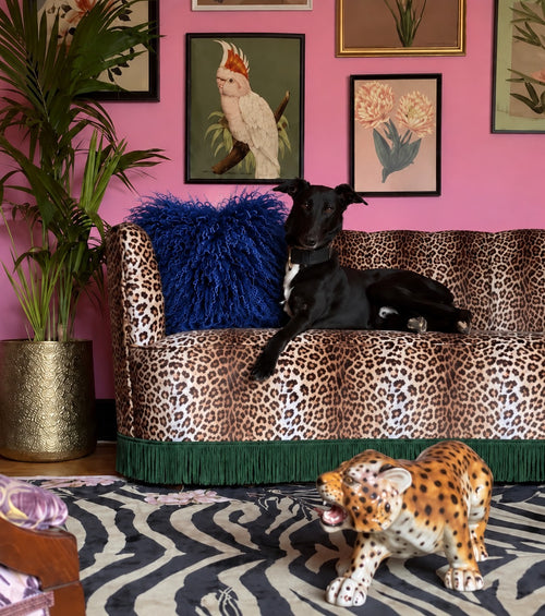 Cobalt blue Mongolian fur cushion, 45cm, on a leopard print velvet sofa against a pink wall - handmade fluffy blue statement cushion [main] [shade: Cobalt Blue]