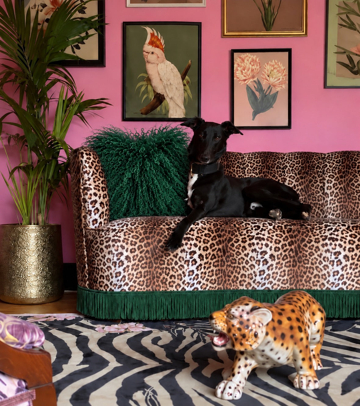 Emerald green Mongolian fur cushion, 45cm, on a leopard print velvet sofa with green fringe - handmade curly lamb fur cushion