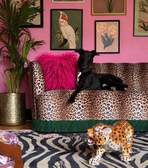 Hot pink Mongolian fur cushion, 45cm, on a leopard print velvet sofa against a pink wall - handmade fluffy statement cushion for maximalist interiors [main] [shade: Hot Pink]