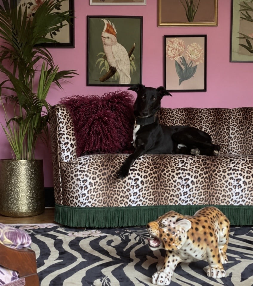 Wine burgundy Mongolian fur cushion, 45cm, on a leopard print velvet sofa - handmade curly lamb fur statement cushion